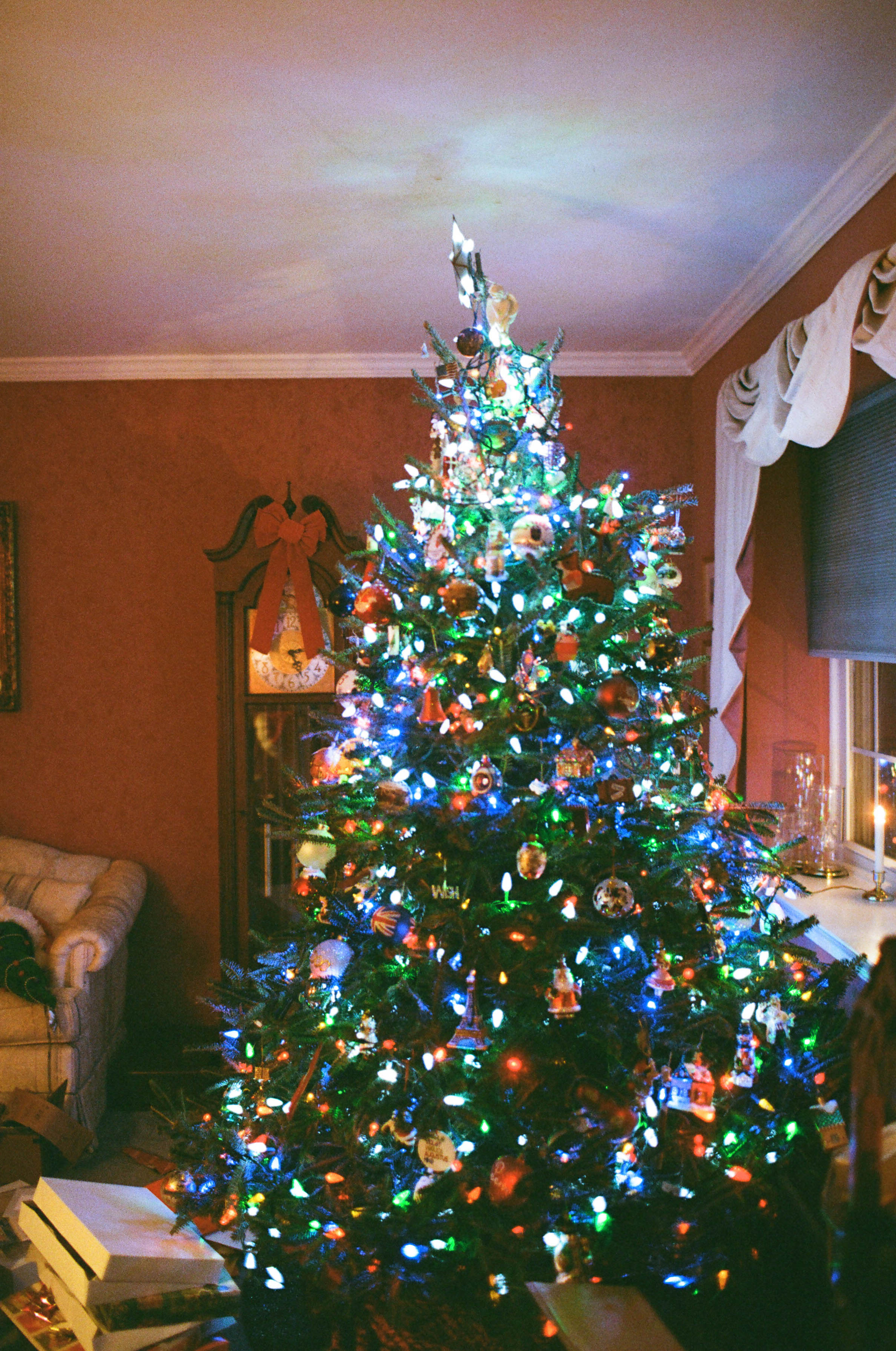 Christmas Tree
 - Blue Bell, PA